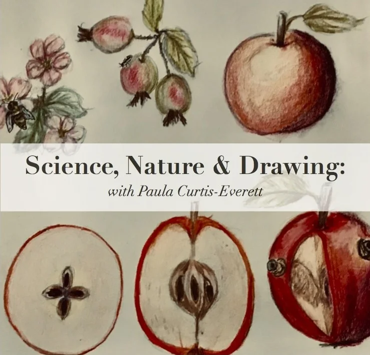 Kids: Science, Nature & Drawing