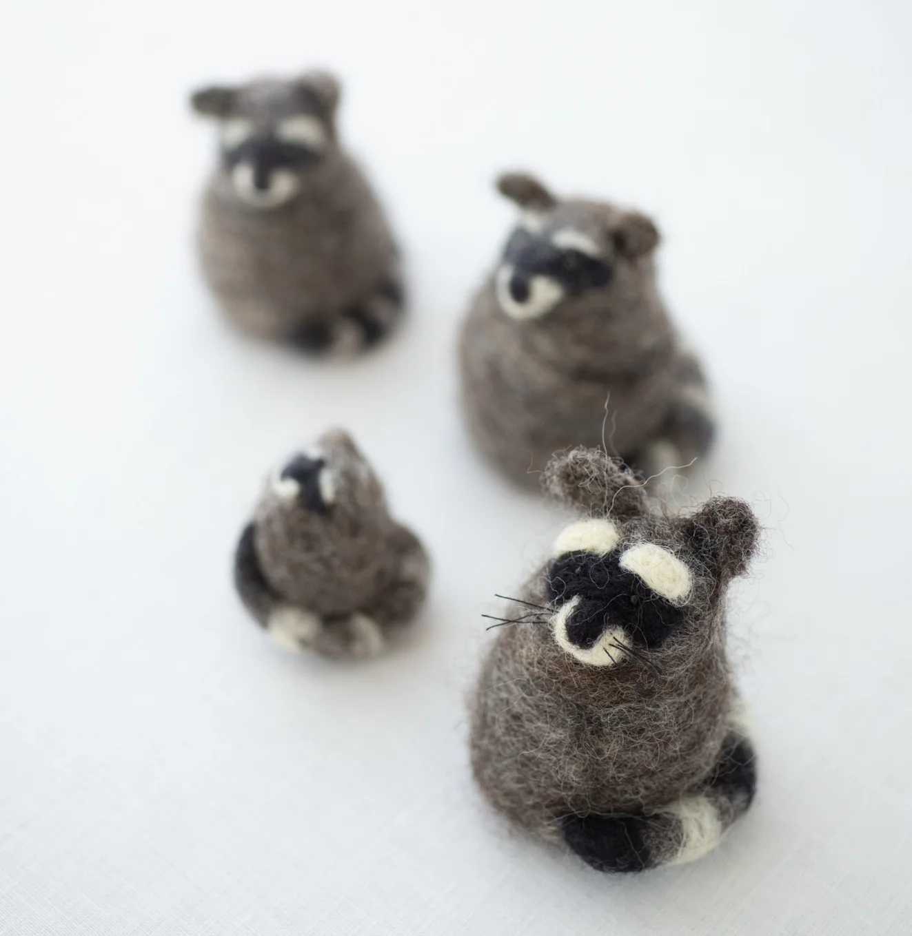Some Raccoons square.jpg