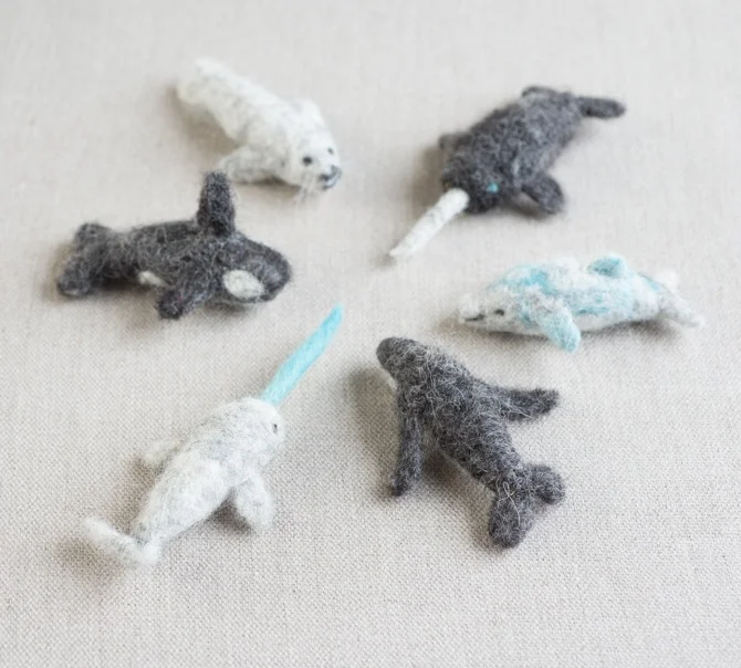 Narwhal Square.jpg