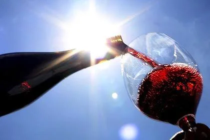 Food Festival Wine Tasting