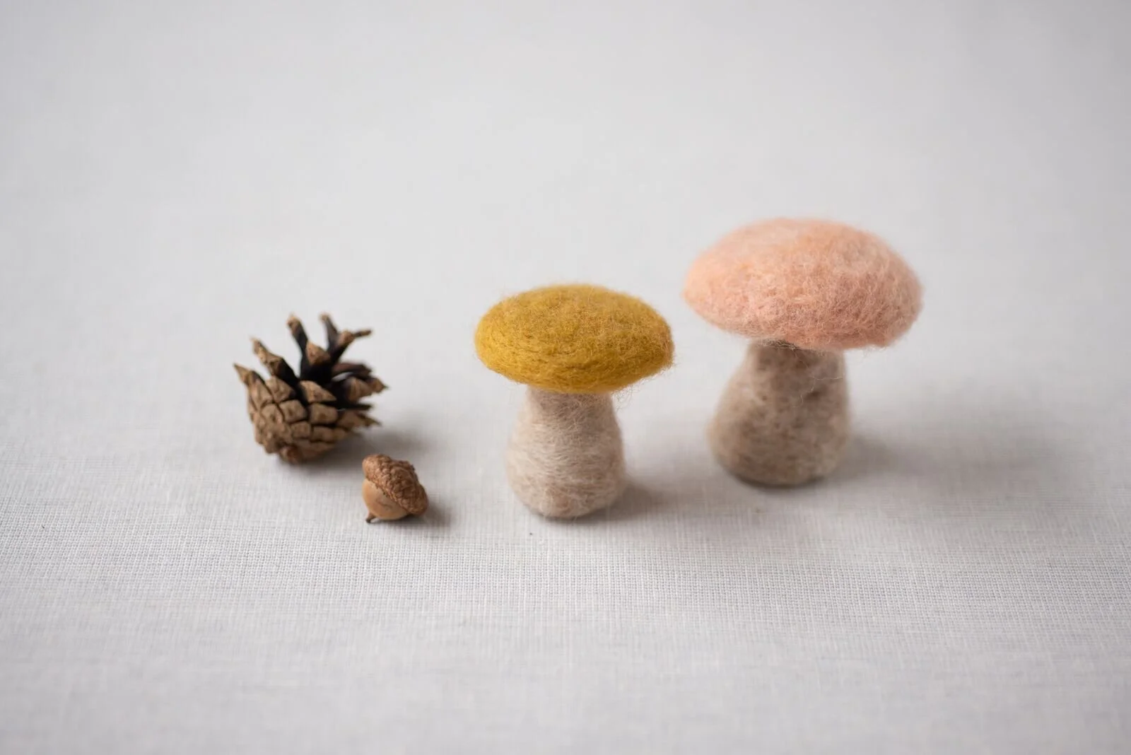 Kids Only Mushroom Felting Class