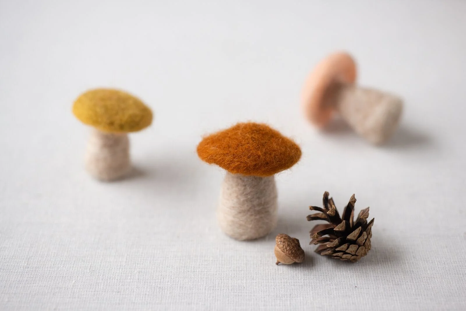 Mushroom Felting Class