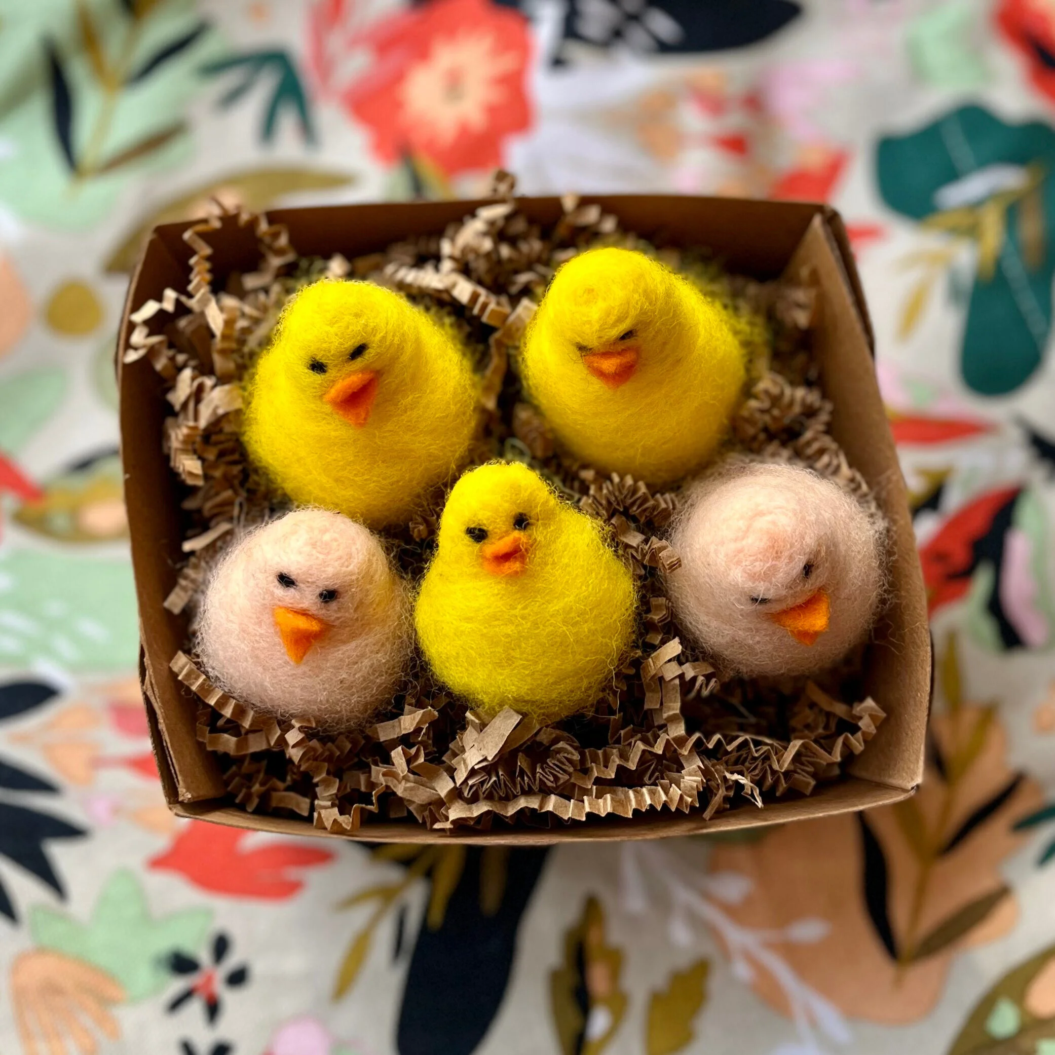 Spring Chickens Class