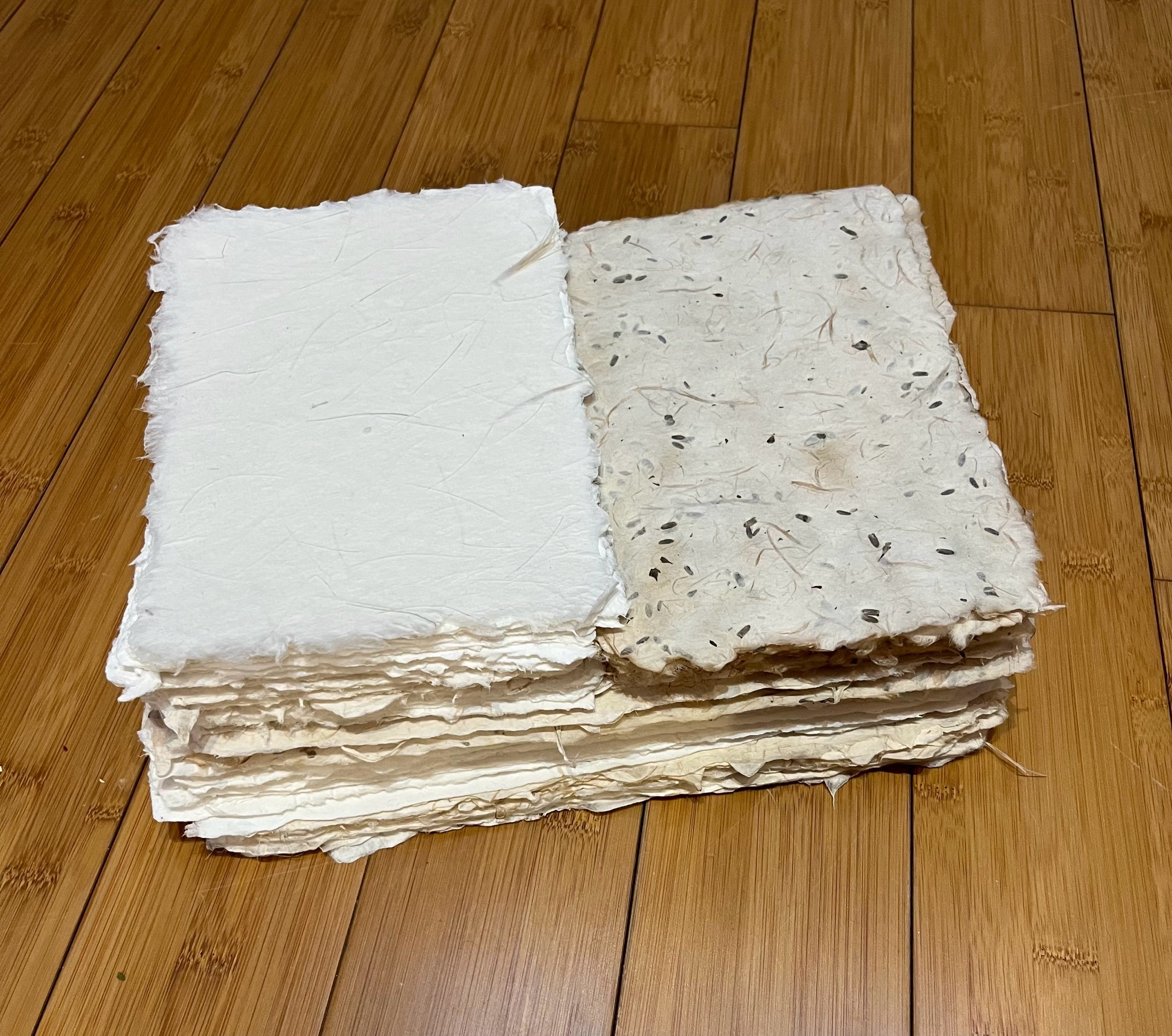 2FCEA0C0-BE86-4921-B99E-3DC0B6EC9A9D.jpeg
