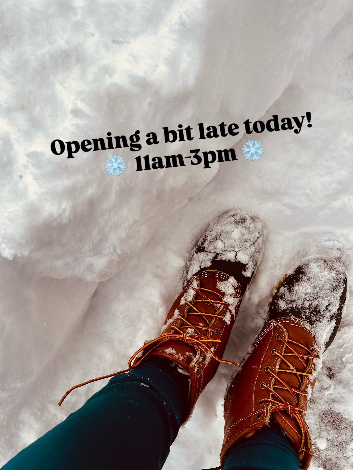 Open today 11-3pm! (Gotta shovel my way to the garage !)