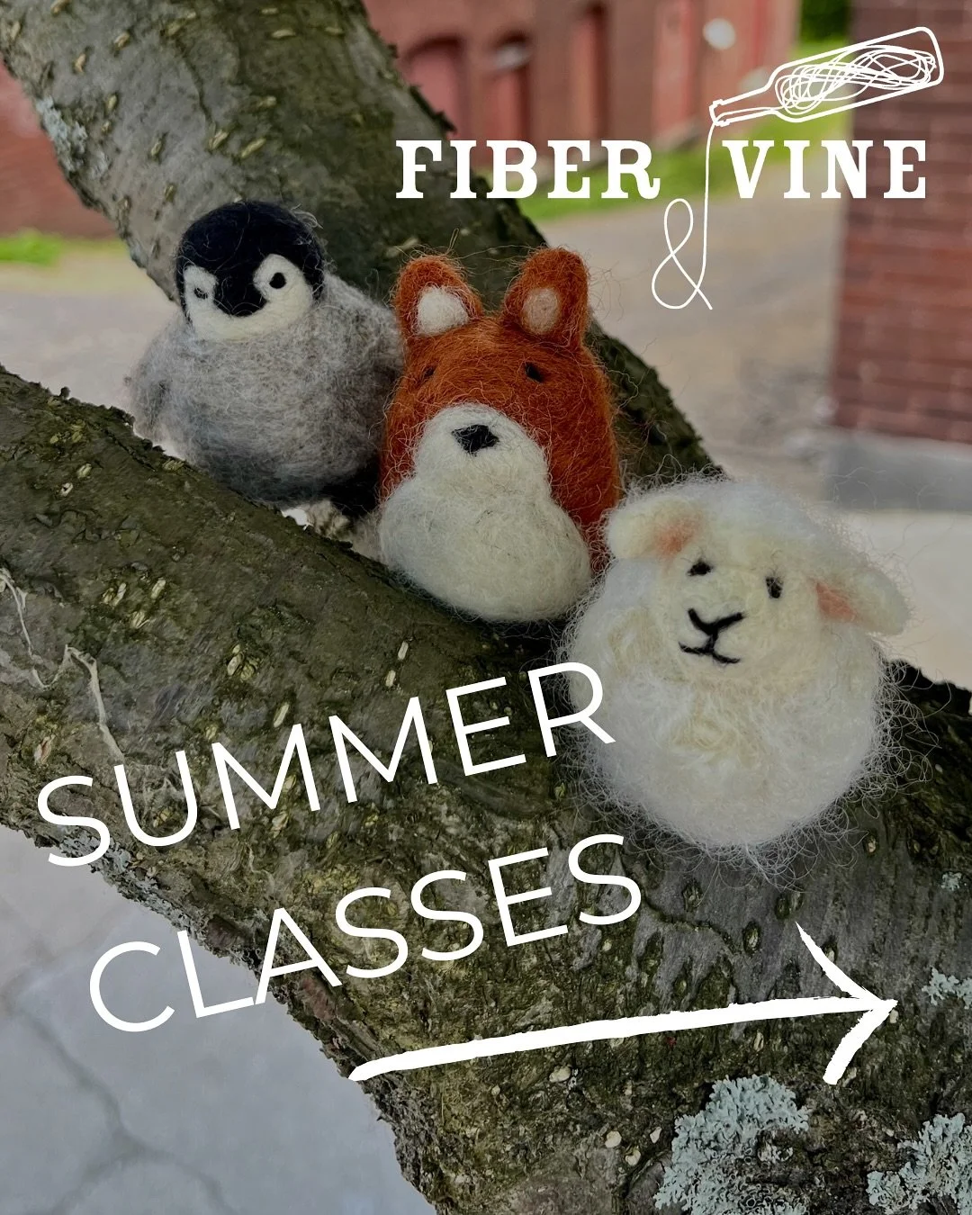 Summer class lineup (for now) adding more to August next week. Stay tuned! 🌈✨🥂

Sign up for any class in our profile!