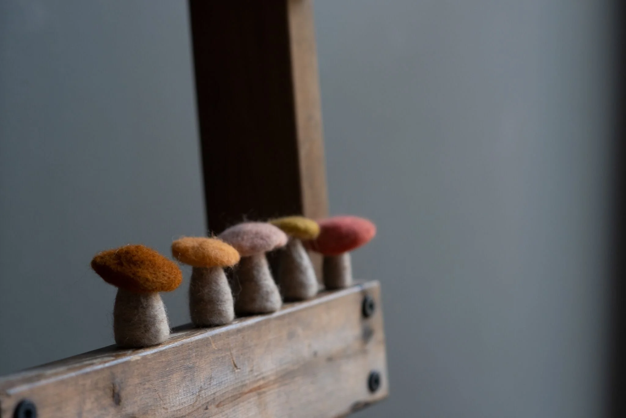 Mushroom Felting Class