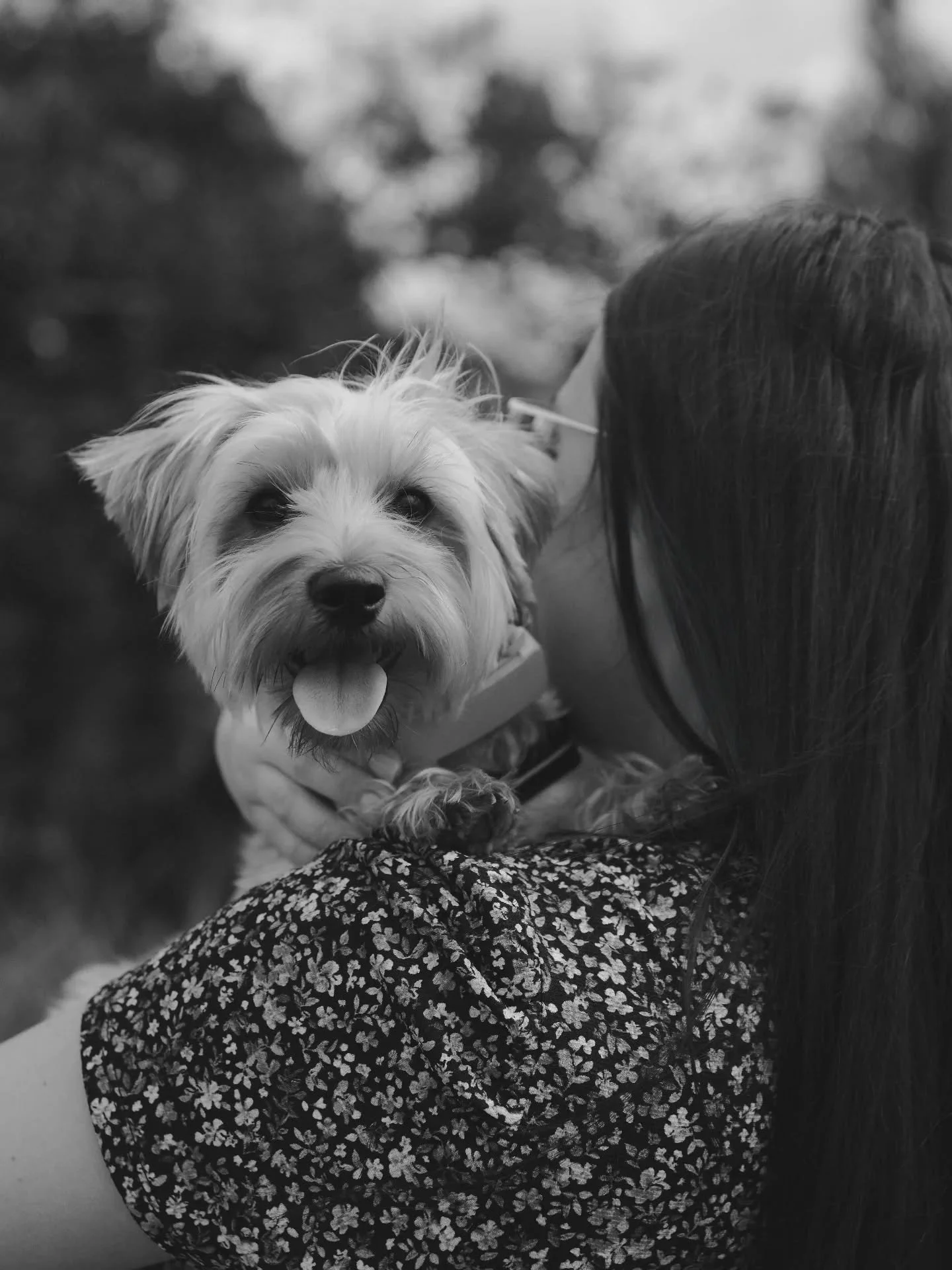 Did you know my sessions are not just for families with children... couples and fur babies are most welcome too! Here's the handsome Kevin, he was so well behaved even though he's just a puppy 🥹 
.
#petportraits #wardle #furbaby