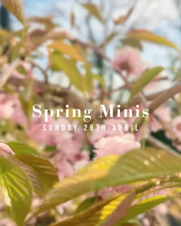 My Spring mini photo sessions are now LIVE and available to book for Sunday 26th April!

Here's everything you need to know... 

🌸 SPRING MINIS 2026 🌸

&bull; Sunday 26th April
&bull; Hare Hill Park, Littleborough
&bull; 15 minute session &pound;35
