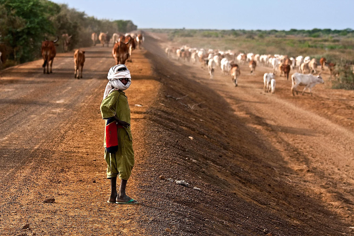Peul nomad in the national park of Djoudj. Senegal