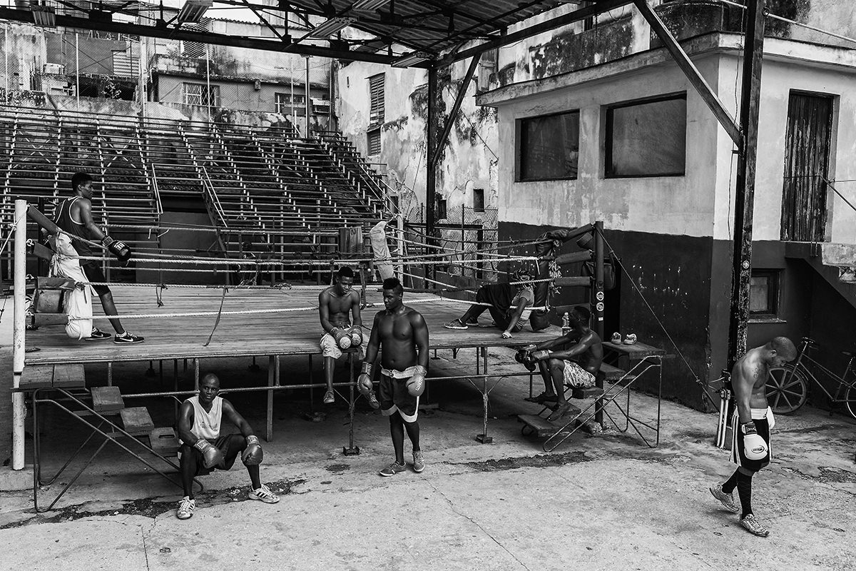 Portrait GImnasio Rafael Trejo10.jpg