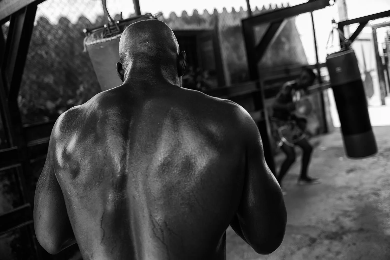 Gimnasio Rafael Trejo