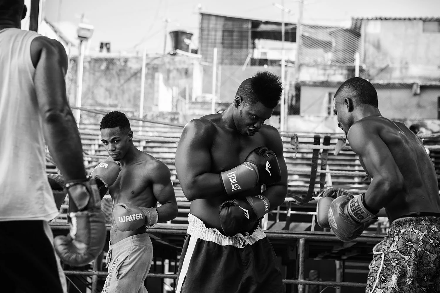 Gimnasio Rafael Trejo