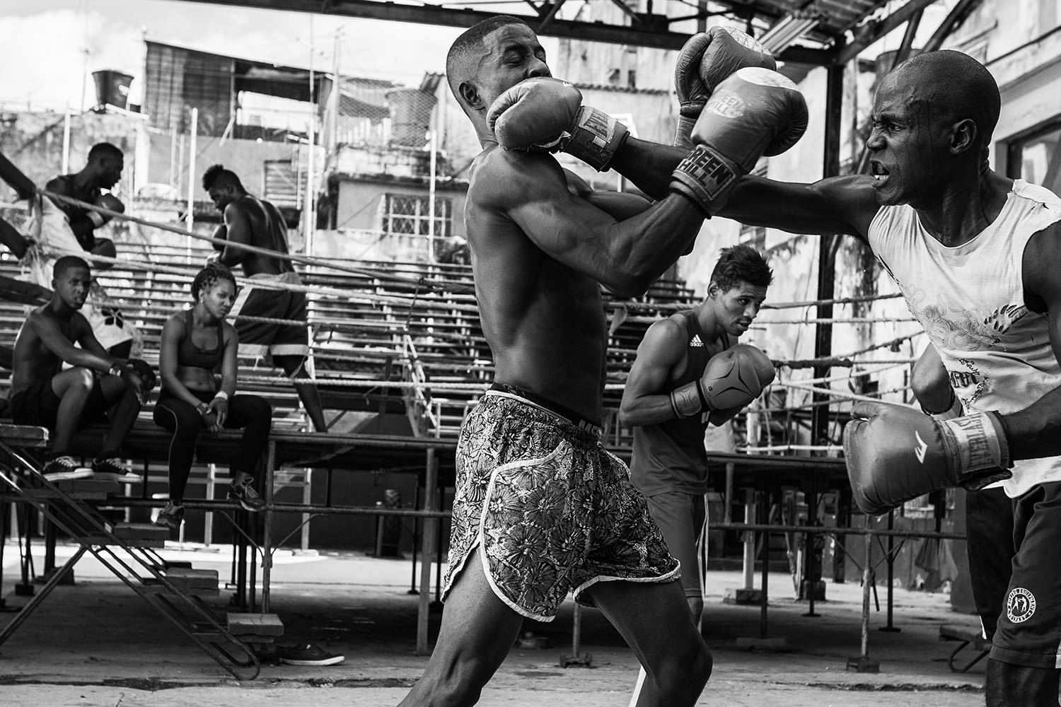 Boxing club Havana. 