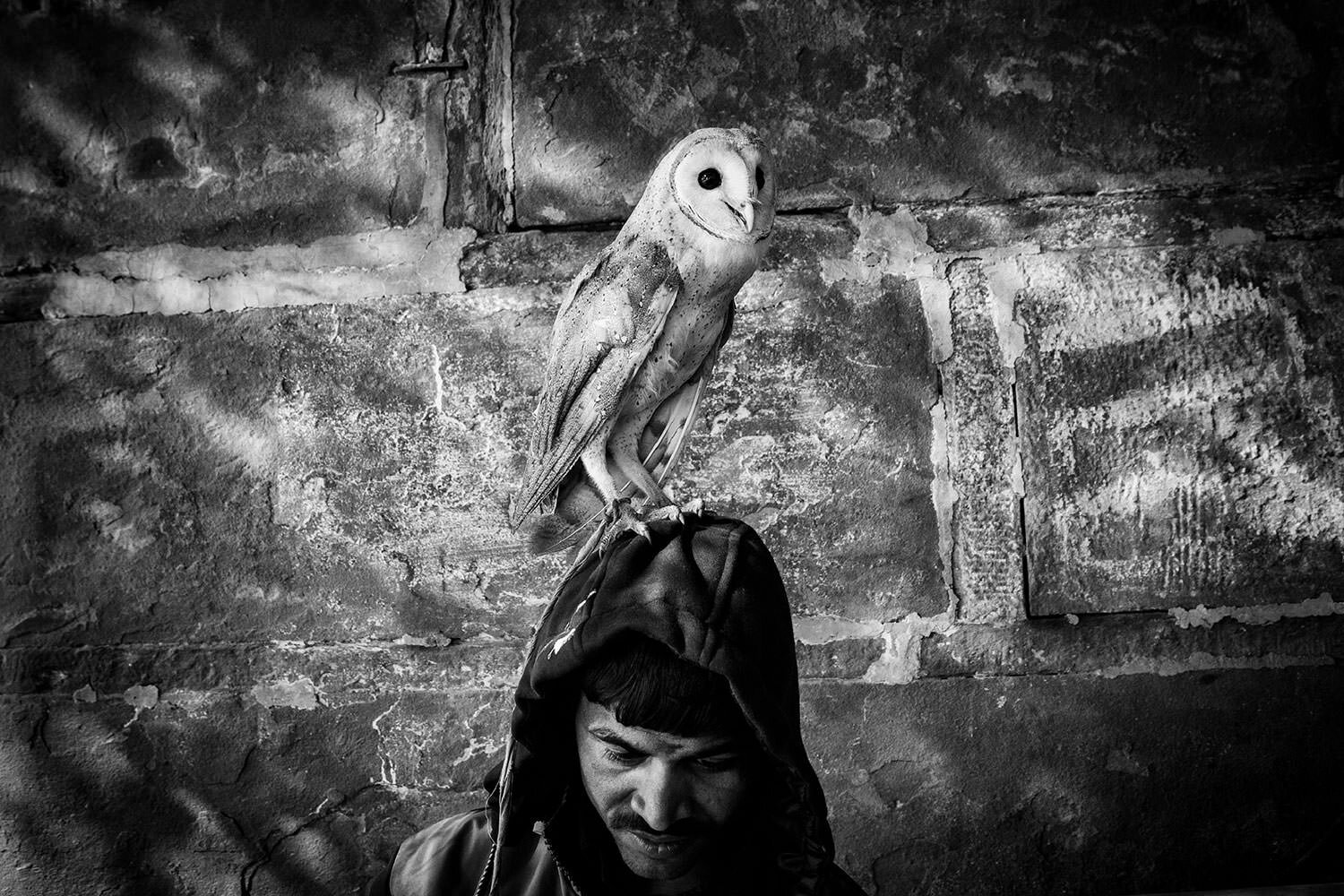 The owl man of Varanasi