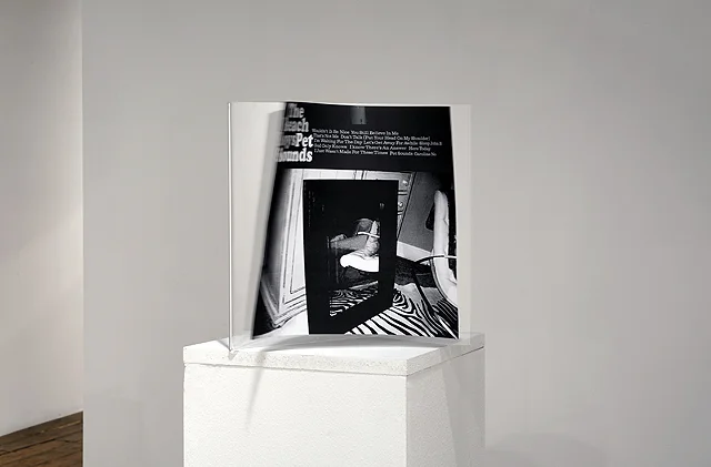 The Room of Requirement (Installation detail), 2015. Photocopies, plexiglass, pedestal, tape, toilet paper, and electric candles. Dimensions Variable