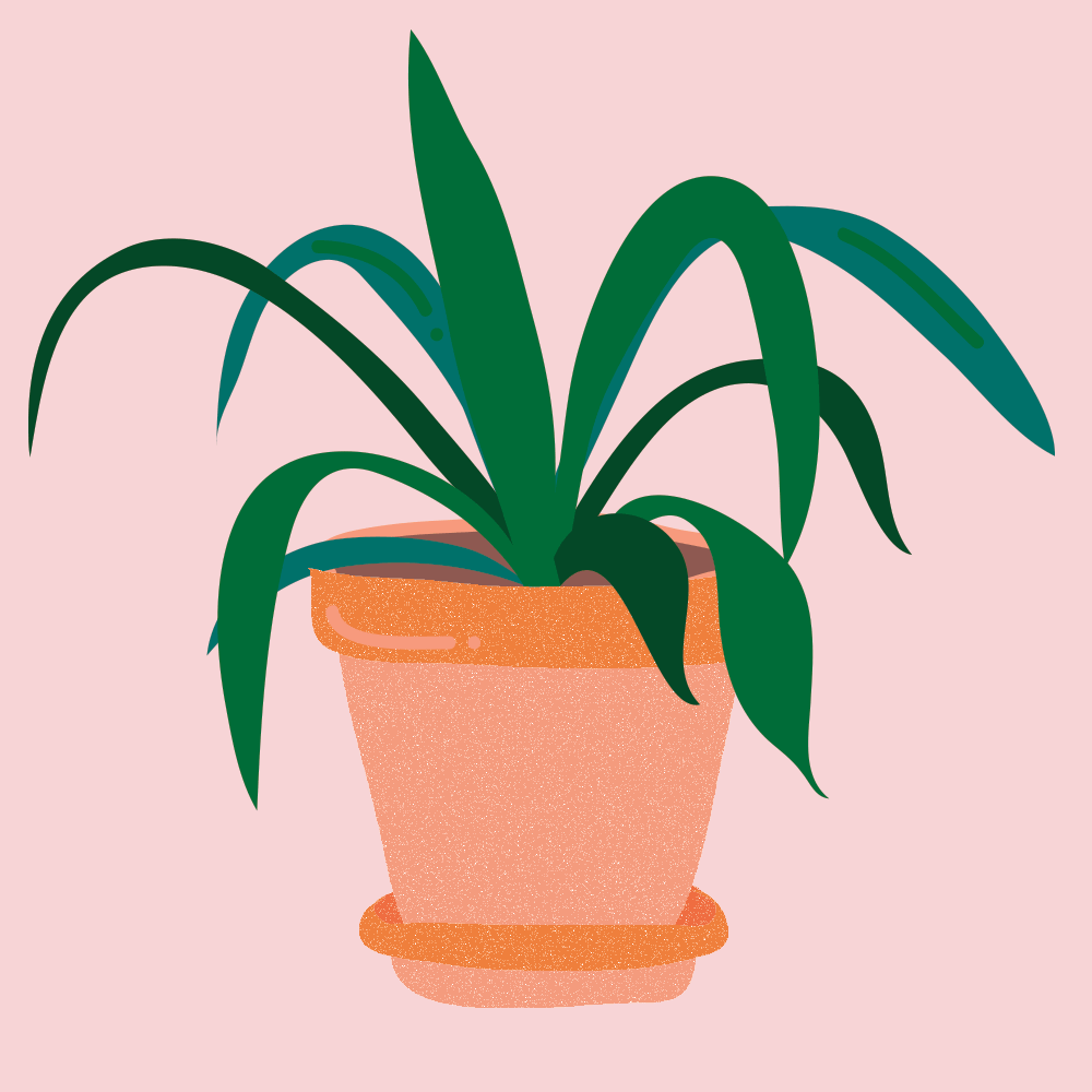 source (2).gif