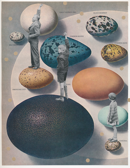 Screen Shot 2015-01-27 at 5.53.49 PM.png