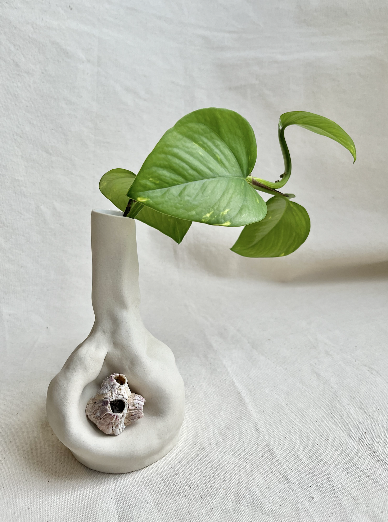 Screenshot 2024-01-18 at 12.10.30 PM.png