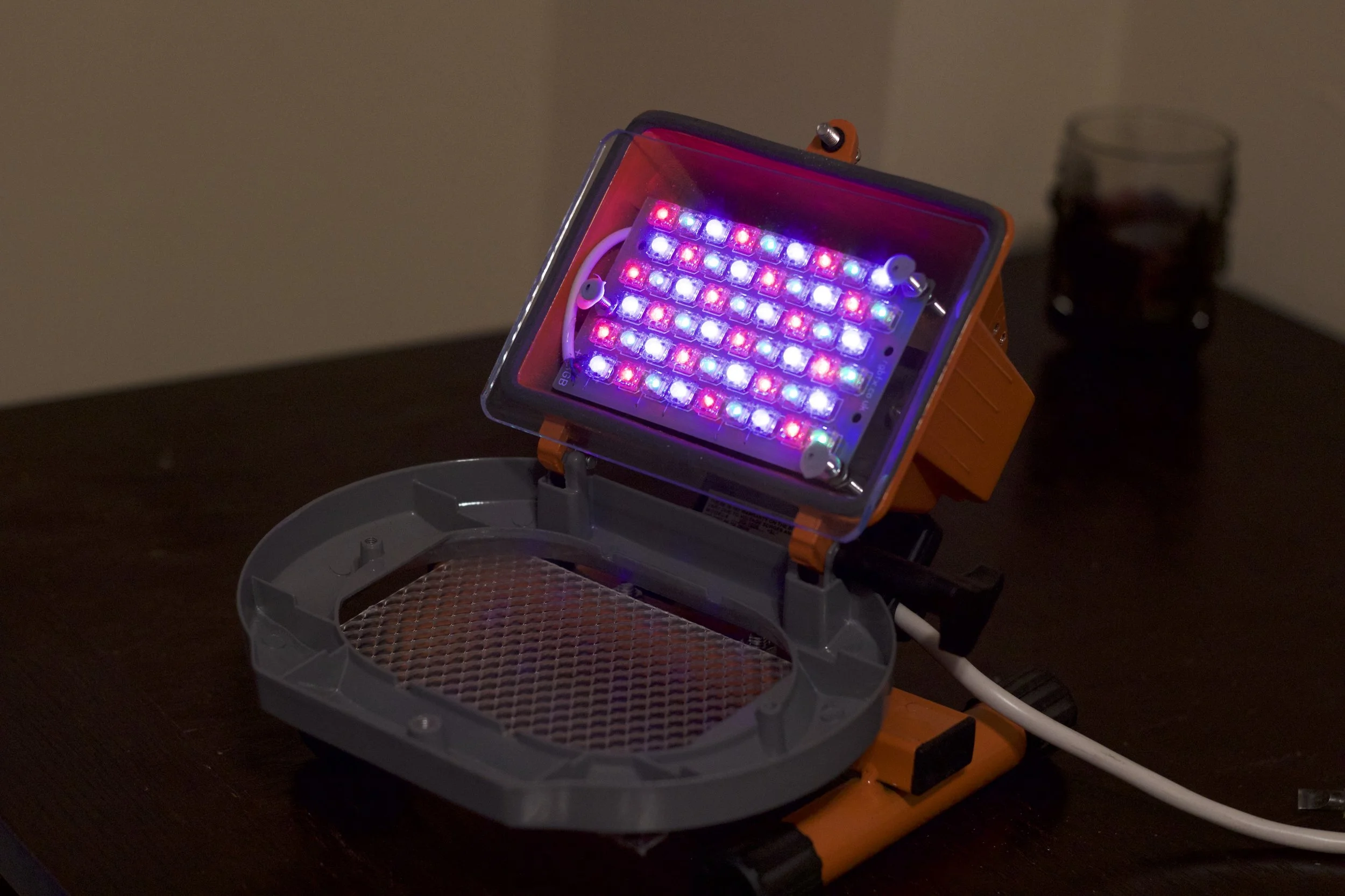 LEDS POSITIONED IN WORK LIGHT