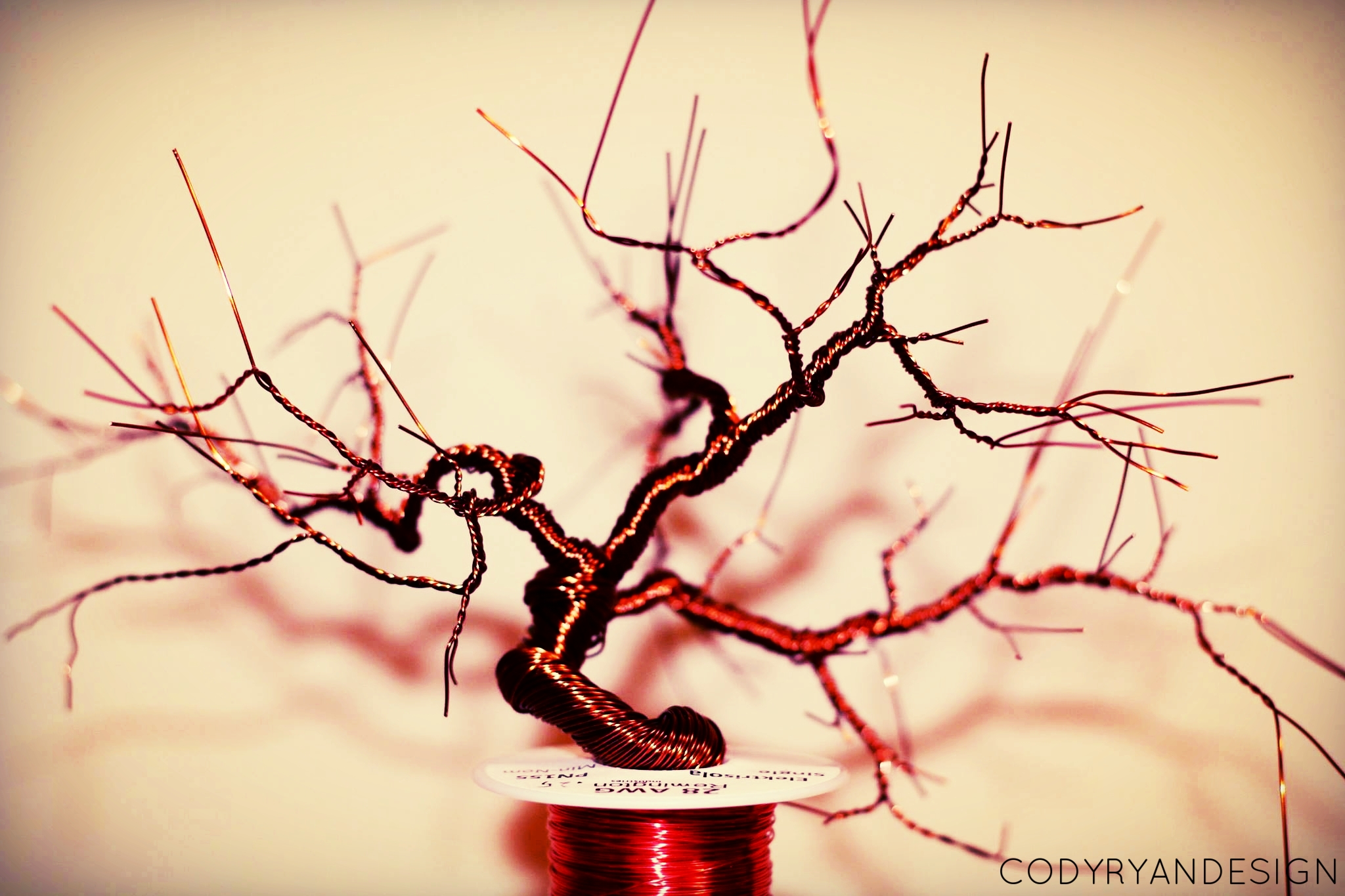 BONSAI WITH WIRE