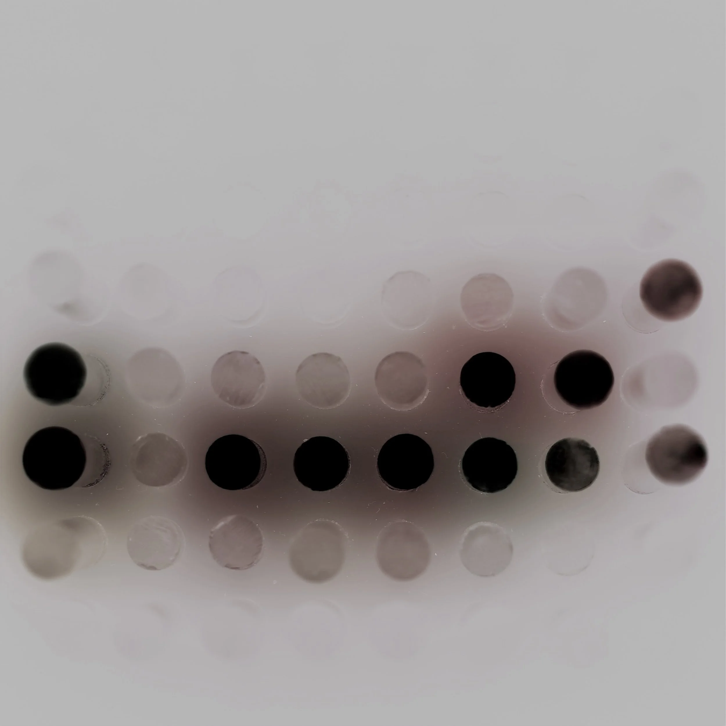 IMG_3187-inverted-cropped.jpg