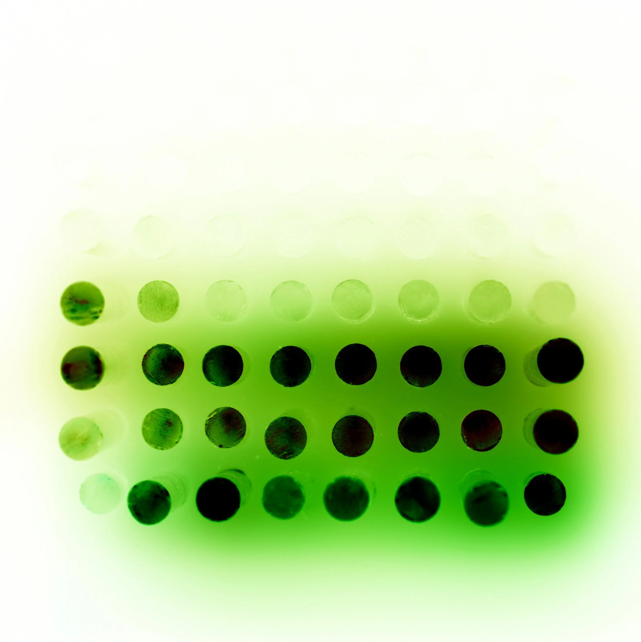 IMG_3200-cropped-inverted.jpg