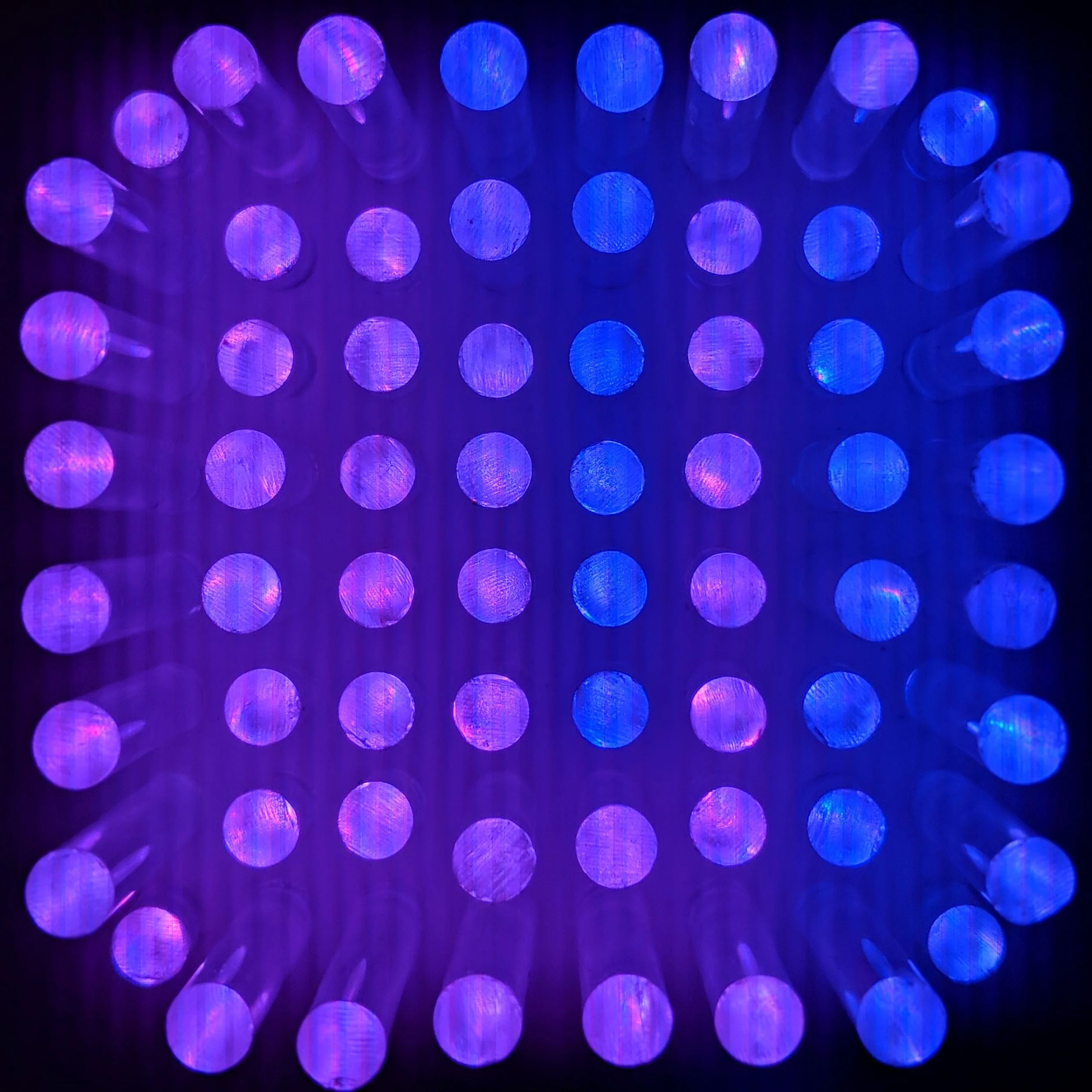 00100dPORTRAIT_00100_BURST20180113182439172_COVER-cropped.jpg
