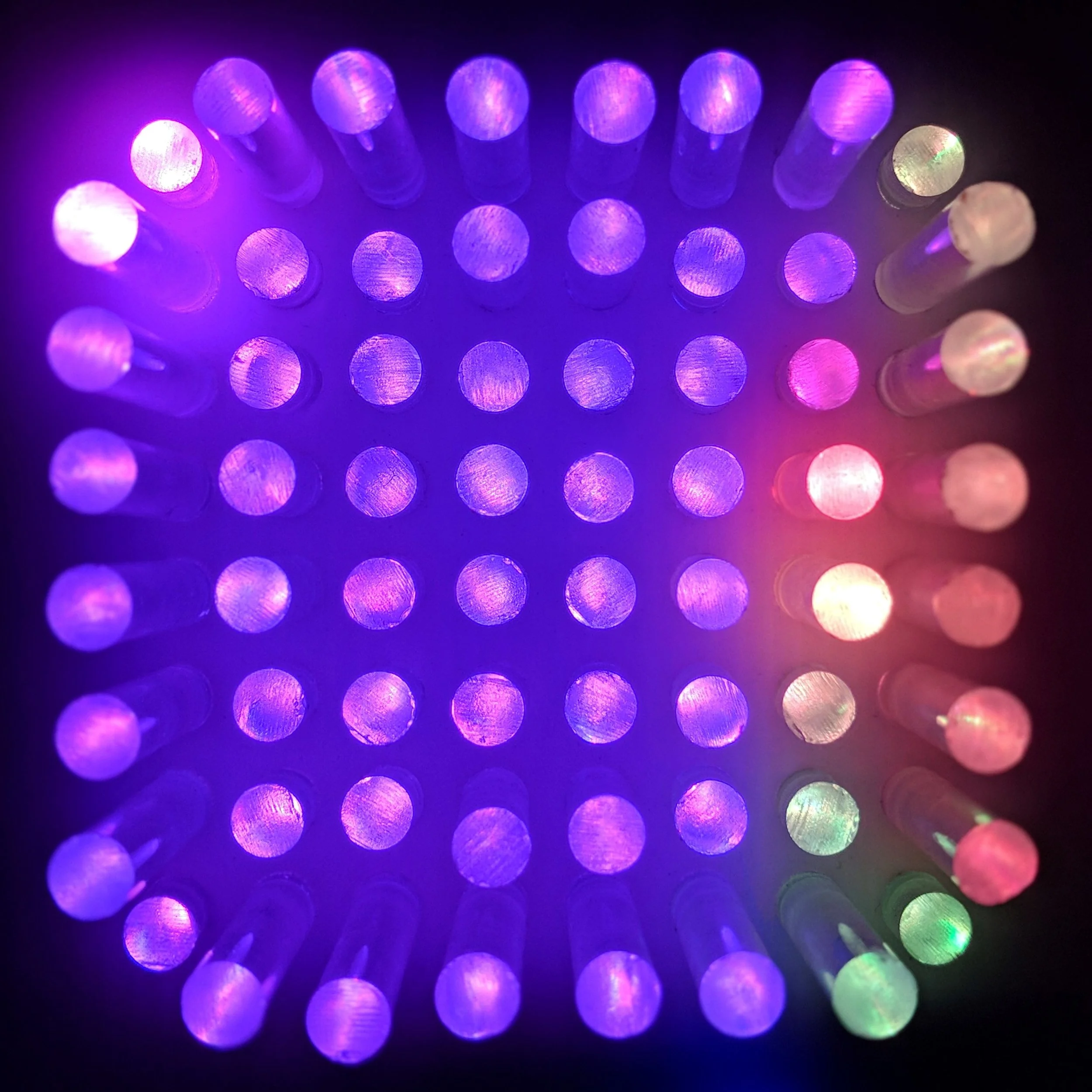 00100dPORTRAIT_00100_BURST20180113182514851_COVER-cropped.jpg