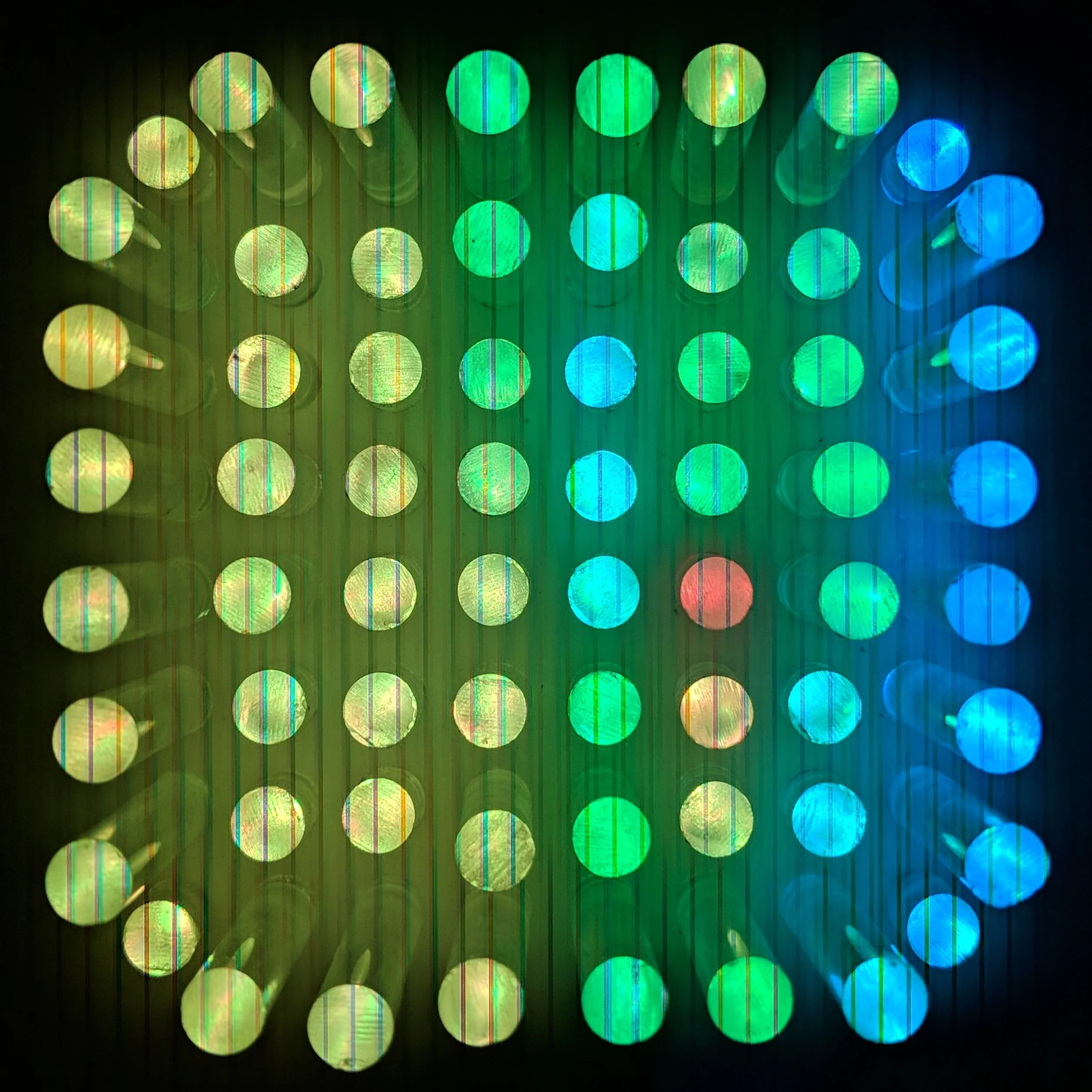 00100dPORTRAIT_00100_BURST20180113182525608_COVER-cropped.jpg