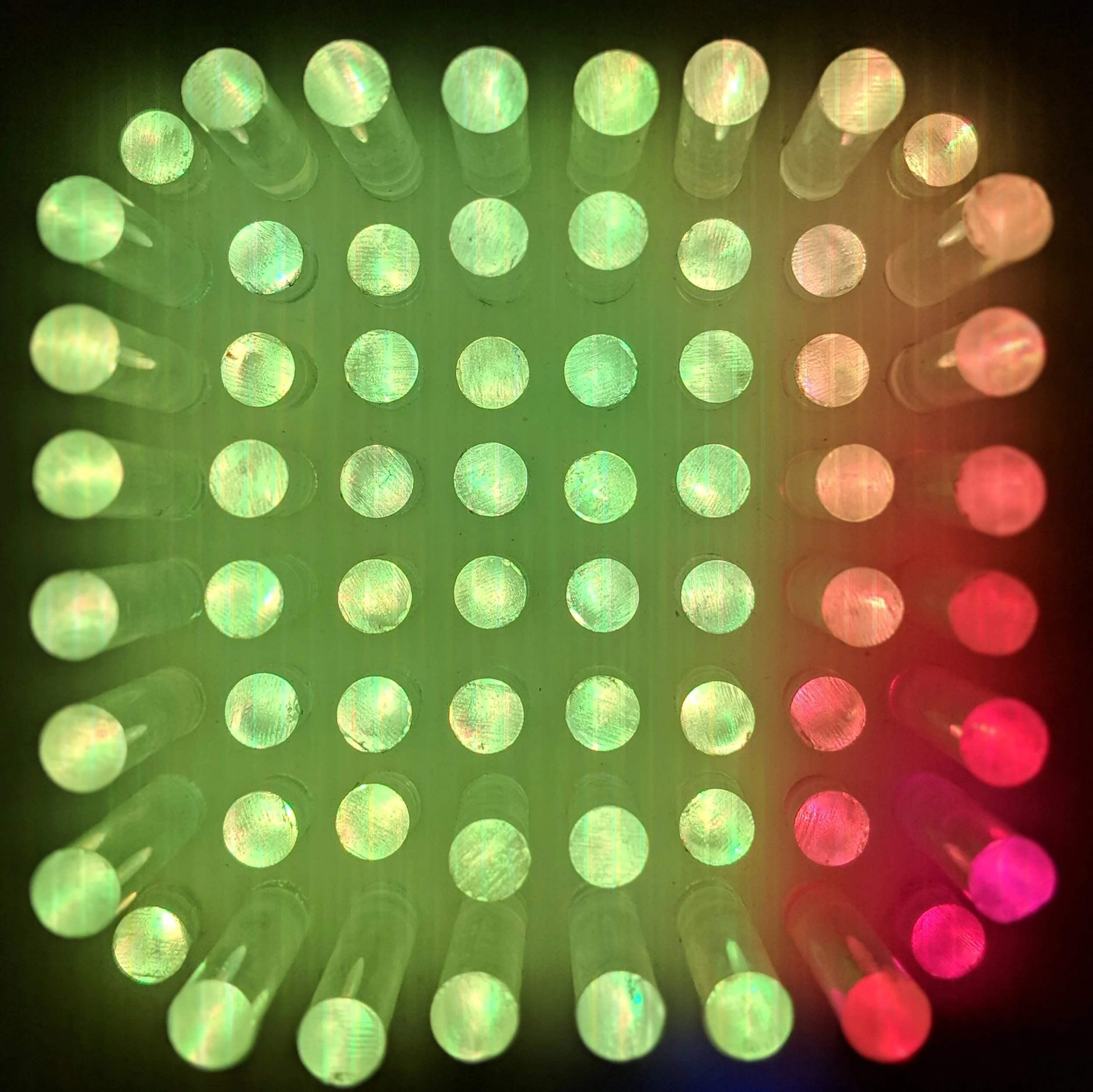 00100dPORTRAIT_00100_BURST20180113182554397_COVER-cropped.jpg