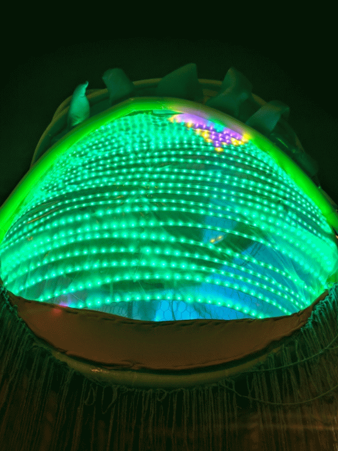 20180710_090953-ANIMATION.gif