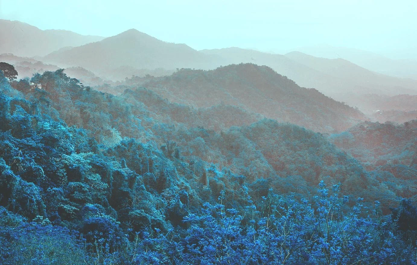 landscape3 .jpg