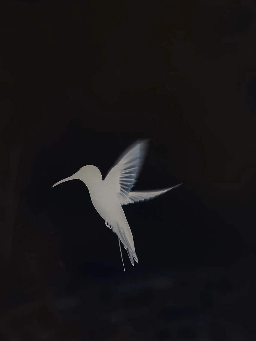 40x30cm-invert-final.jpg
