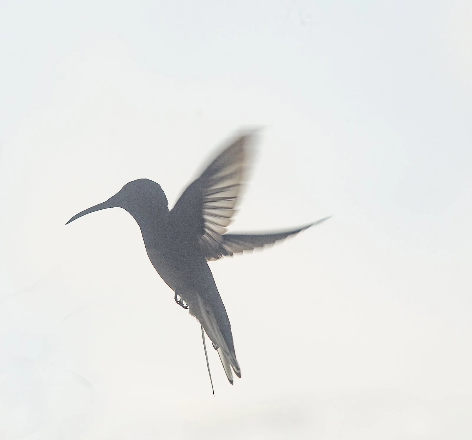 Air#20x20cm-final copy.jpg