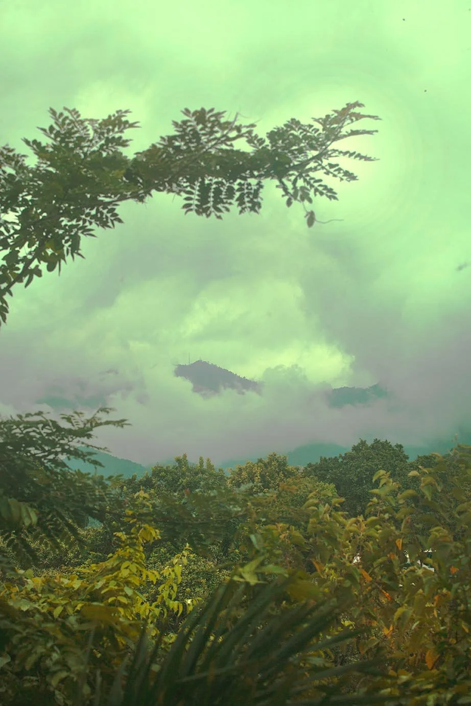 GREENleavesTURQUOISE copy2.jpg