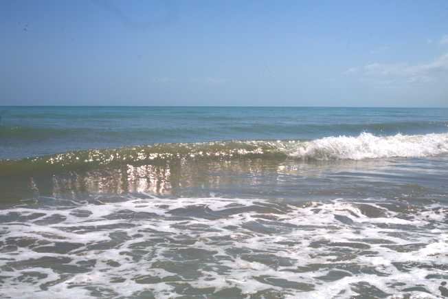sea-gold.jpg