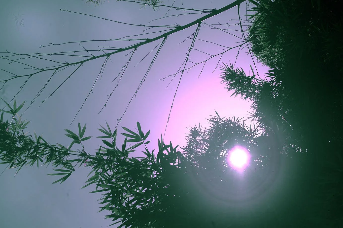 sunlightblue copy.jpg