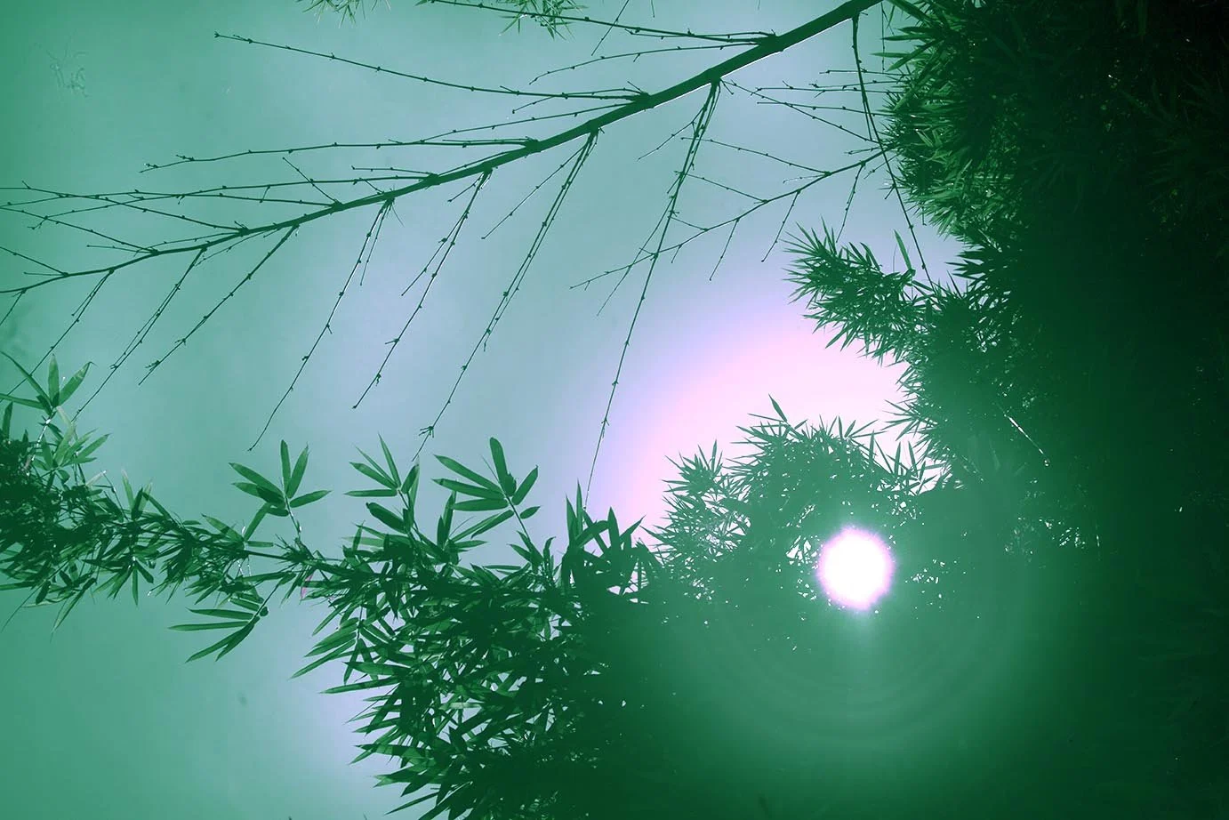 sunlightblue2 copy.jpg