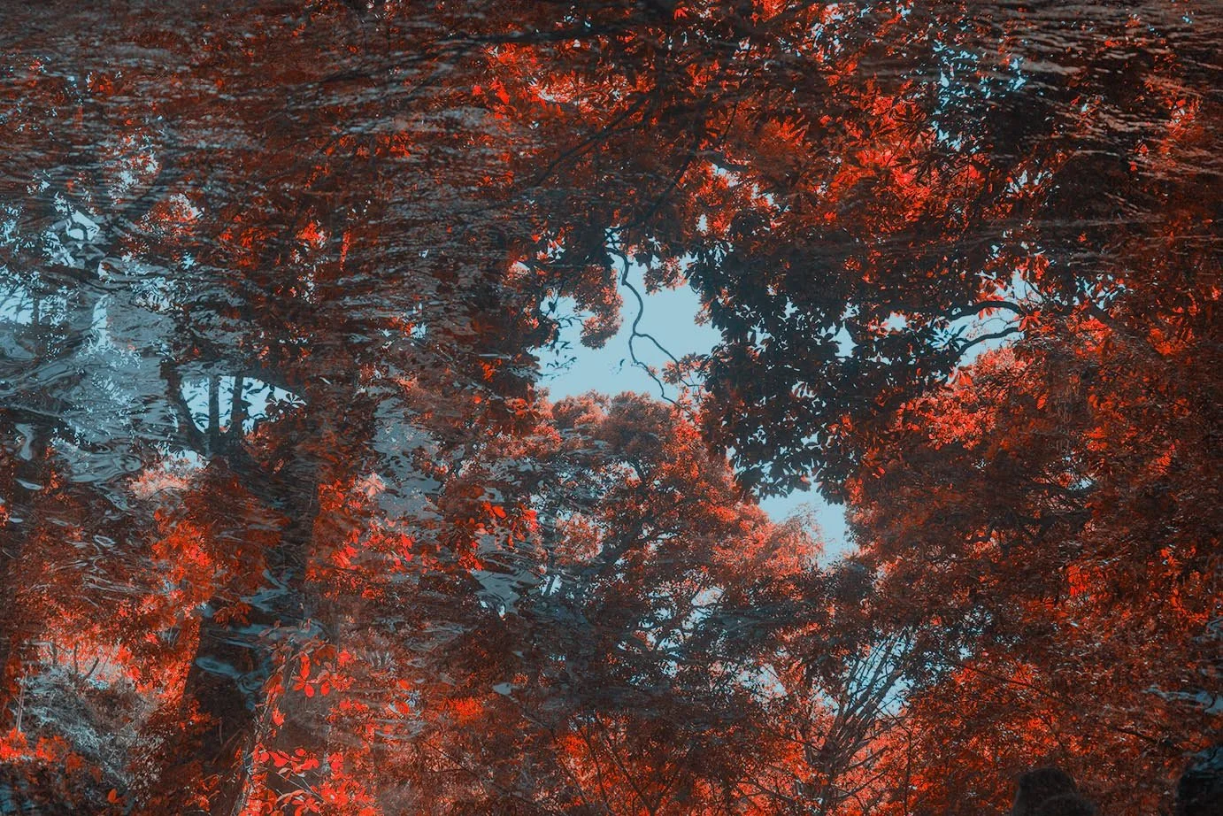 riverred copy.jpg