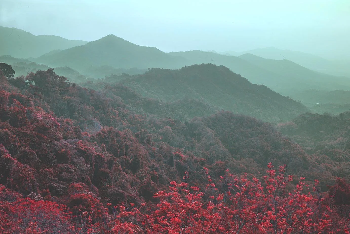 landscape2.jpg