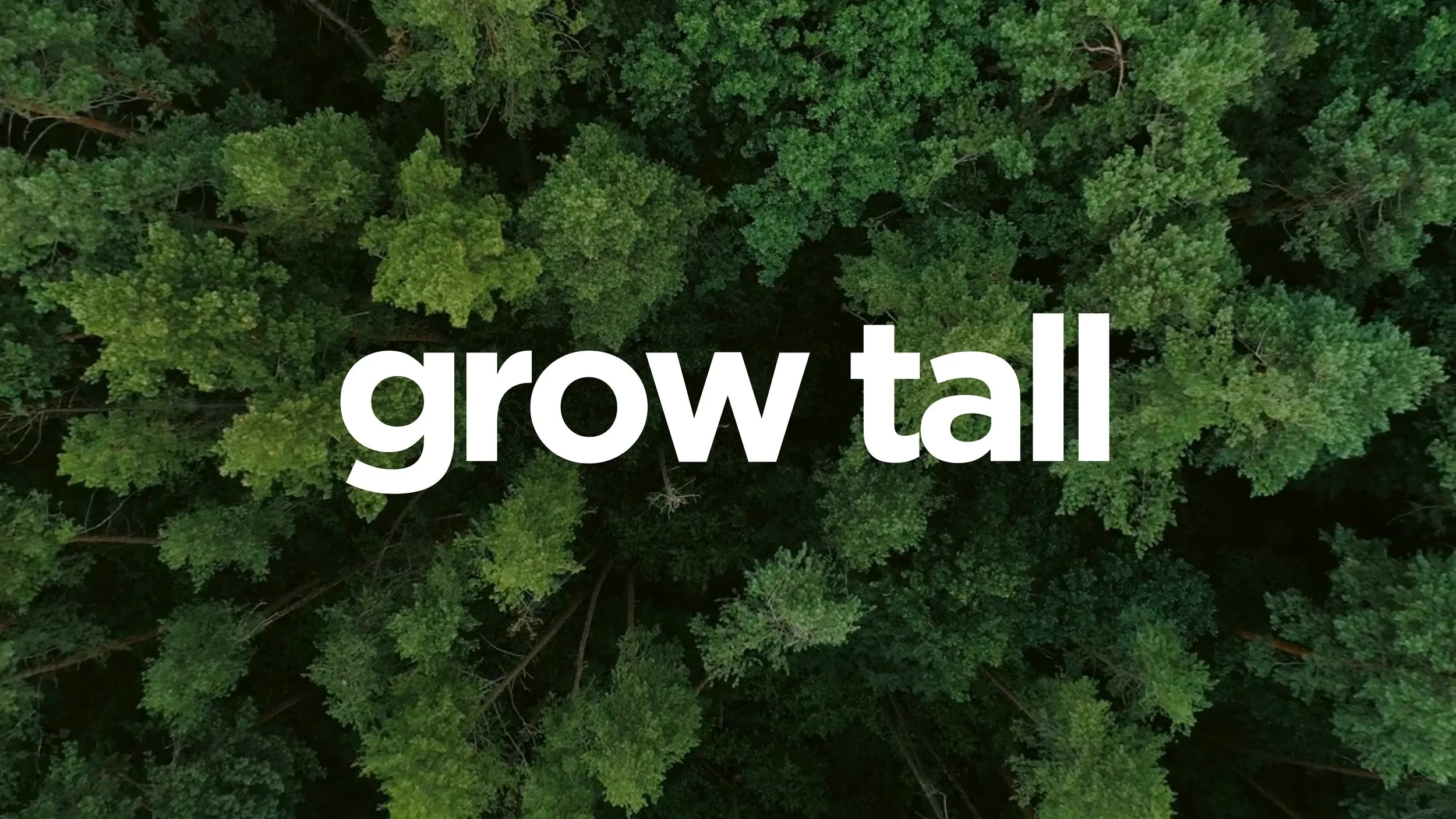 grow tall.jpg