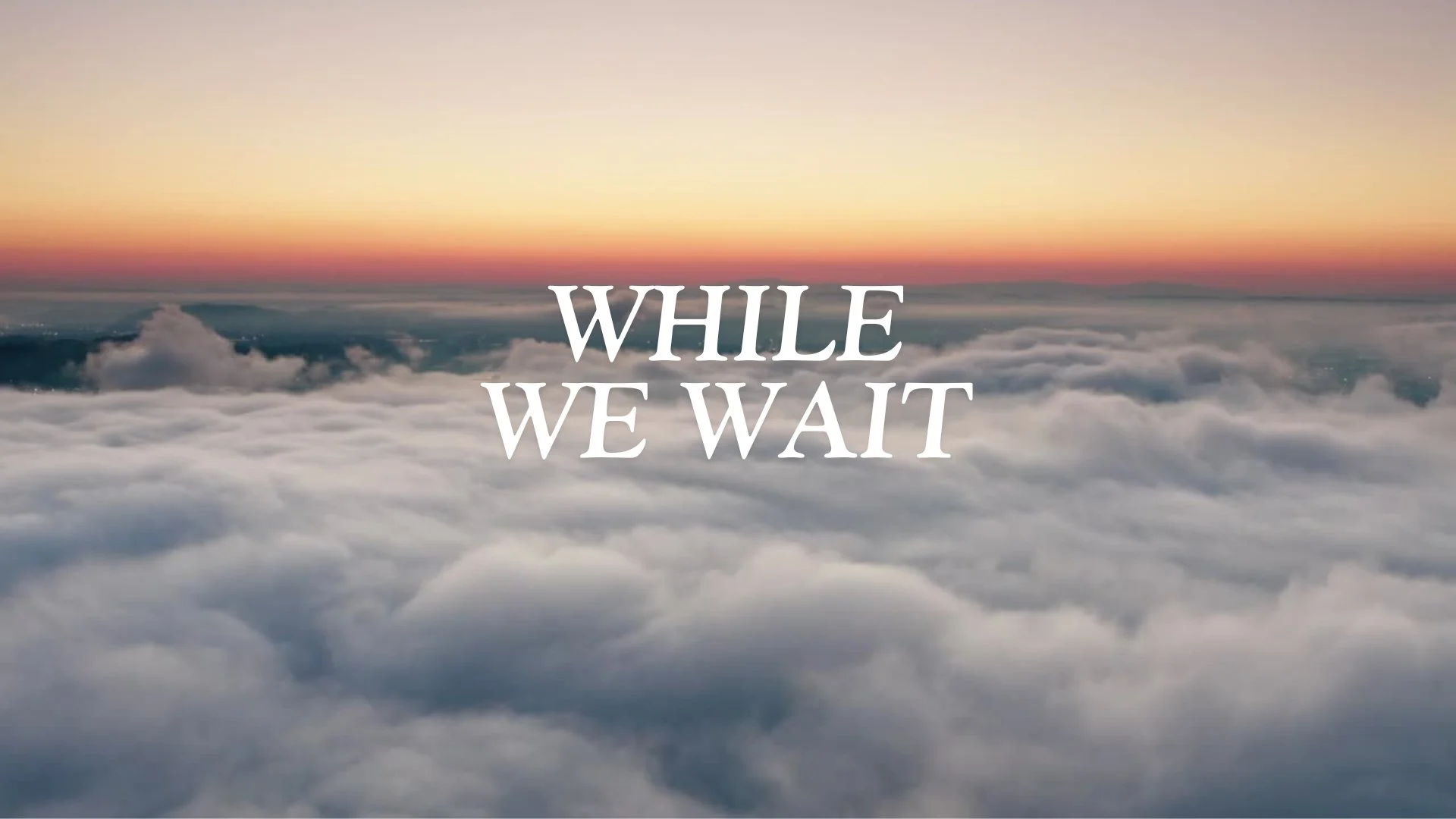 While We Wait Logo.jpg