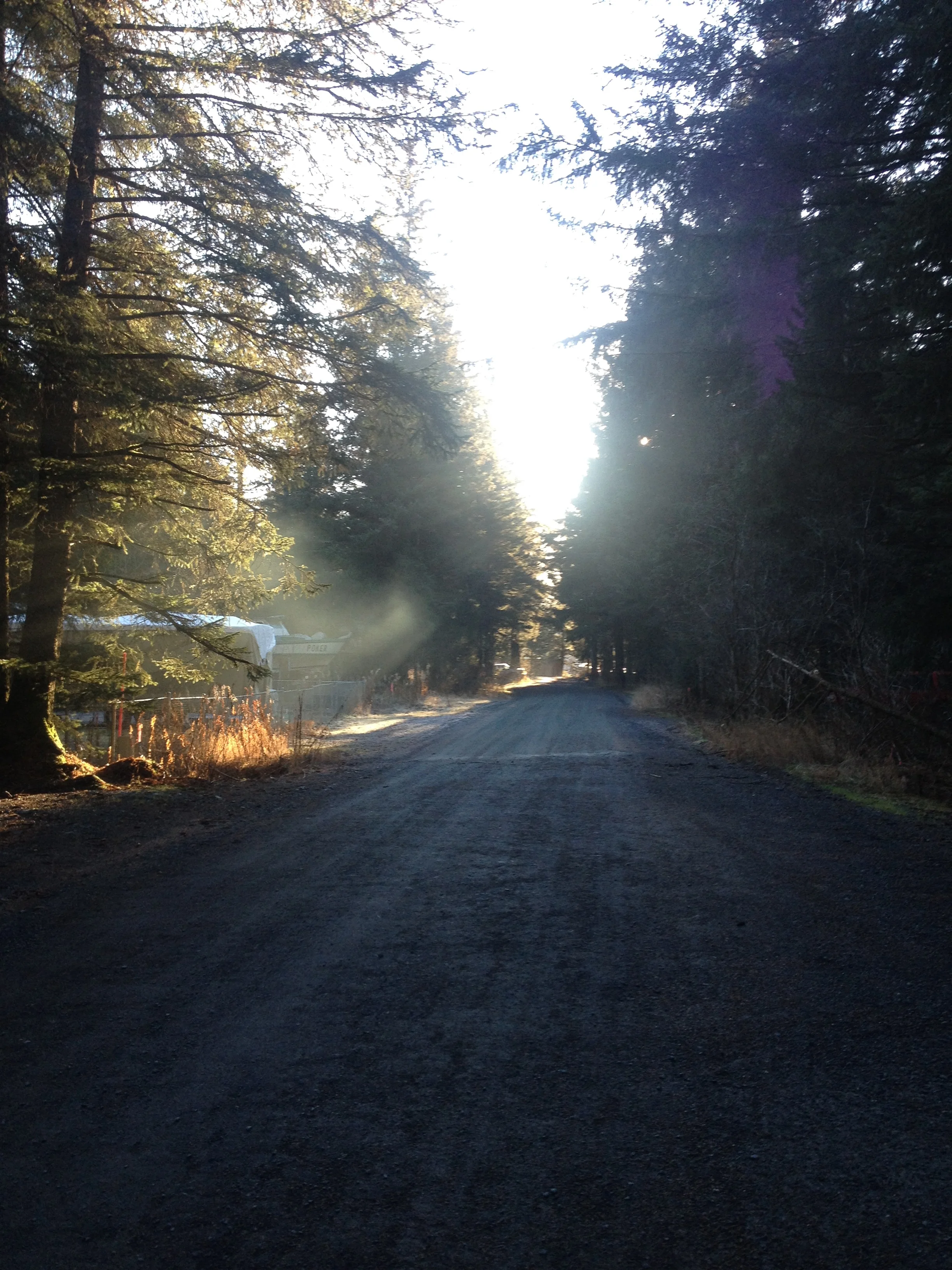Shady Lane, Lowell Point - Seward, Alaska