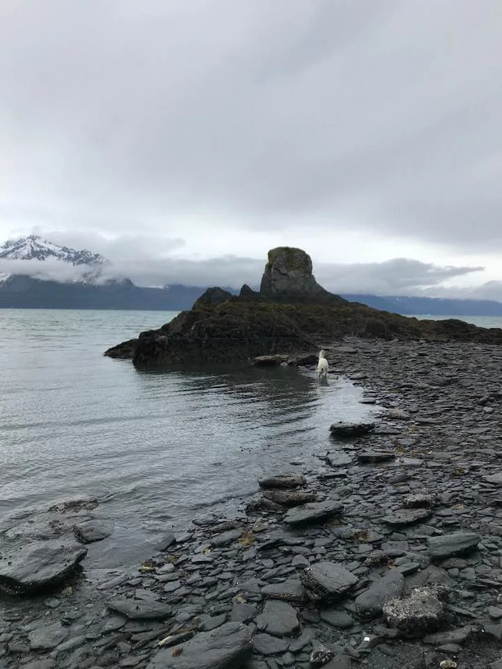 Lowell Point Beach