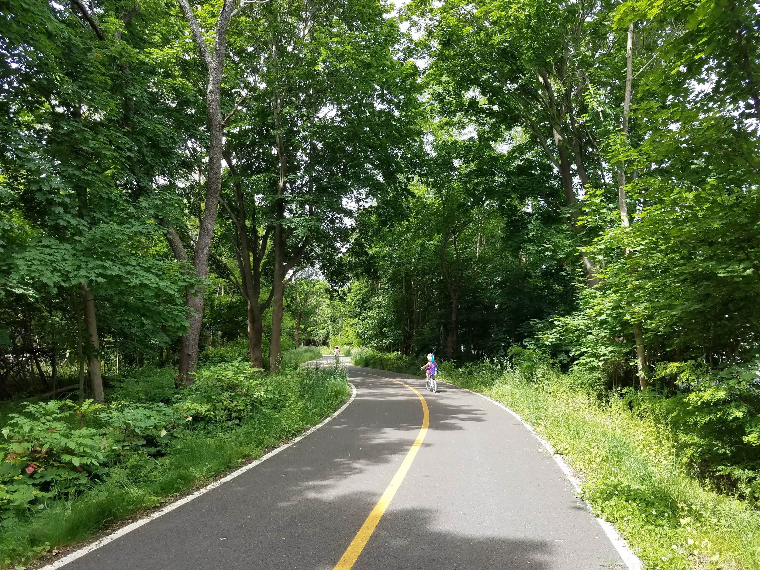 Setauket-Port Jefferson Station Greenway&nbsp;&nbsp; &nbsp;