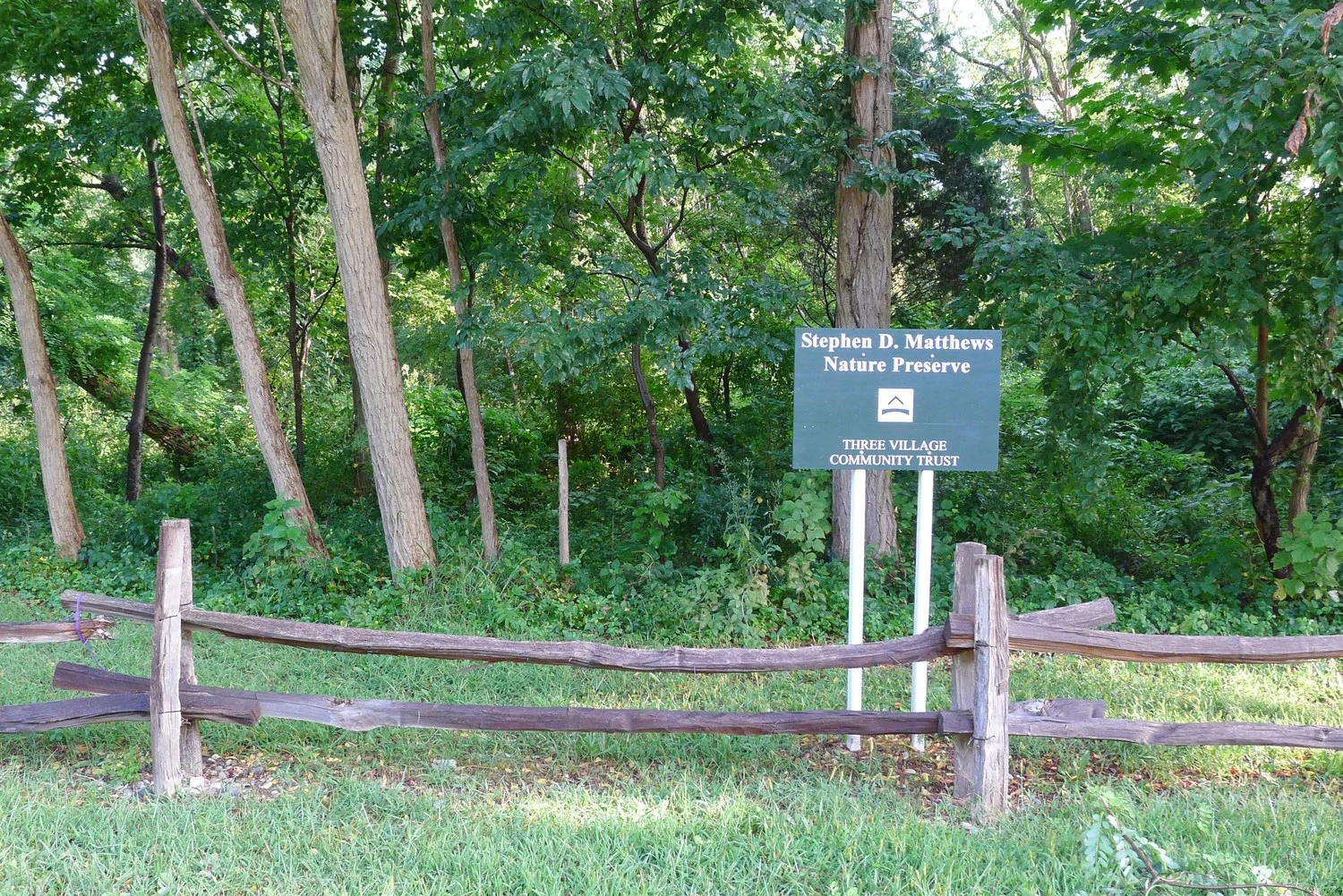 Matthews Reserve Website.jpg