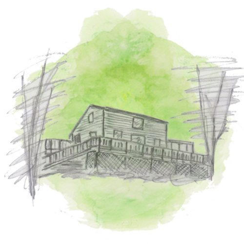 meadow green.jpg