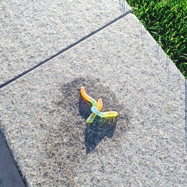 Is anybody looking for either a slobbery candy kid or a genetics guy? It looks like somebody might have stolen somebody while they were trying to animal husbandry some gummy worms. I'm sure somebody loves and misses them whoever they were. Send me an
