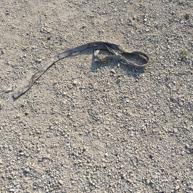 It looks like somebody maybe kidnapped a  sloppy karate beginner. Is anybody missing a pigpen white belt? Send me any leads and I'll get them out, somebody probably loved this messy beginner and is looking at a soiled light switch plate in their dojo